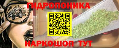 spice Кинель