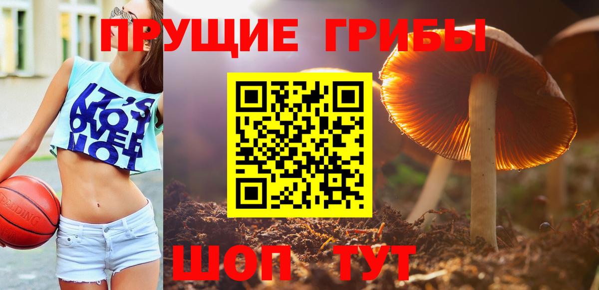 Галлюциногенные грибы мухоморы Кудрово