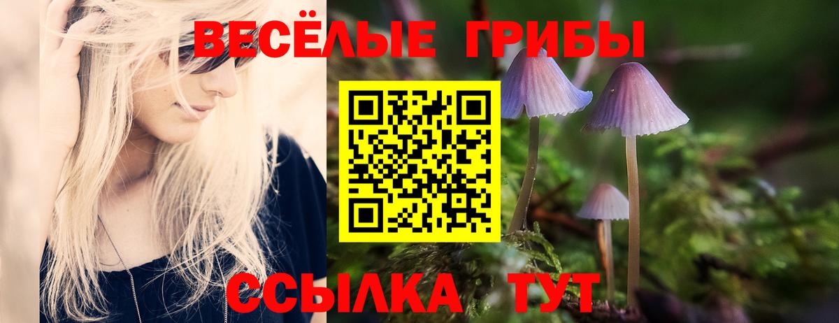 Псилоцибиновые грибы Psilocybine cubensis  Вход с VPN  Кудрово 